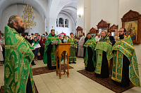 Епархиальное молодёжное акафистное пение в Ногинске