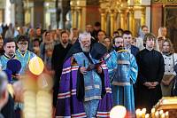 Всероссийский парад семьи в Ногинске