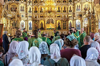 День памяти преподобного Серафима Саровского в Орехово-Зуеве