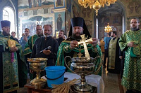День памяти преподобного Серафима Саровского в Орехово-Зуеве