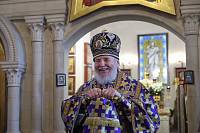 Архипастырский визит в Богородское благочиние