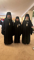 Делегация Балашихинской епархии на встрече со Святейшим Патриархом Кириллом