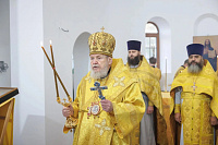 Архиерейское богослужение в Богородицерождественском храме деревни Савостьяново